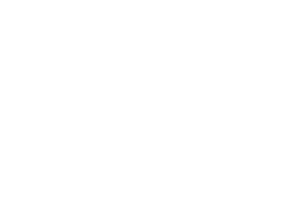 RankingMastery Web Designer Certification